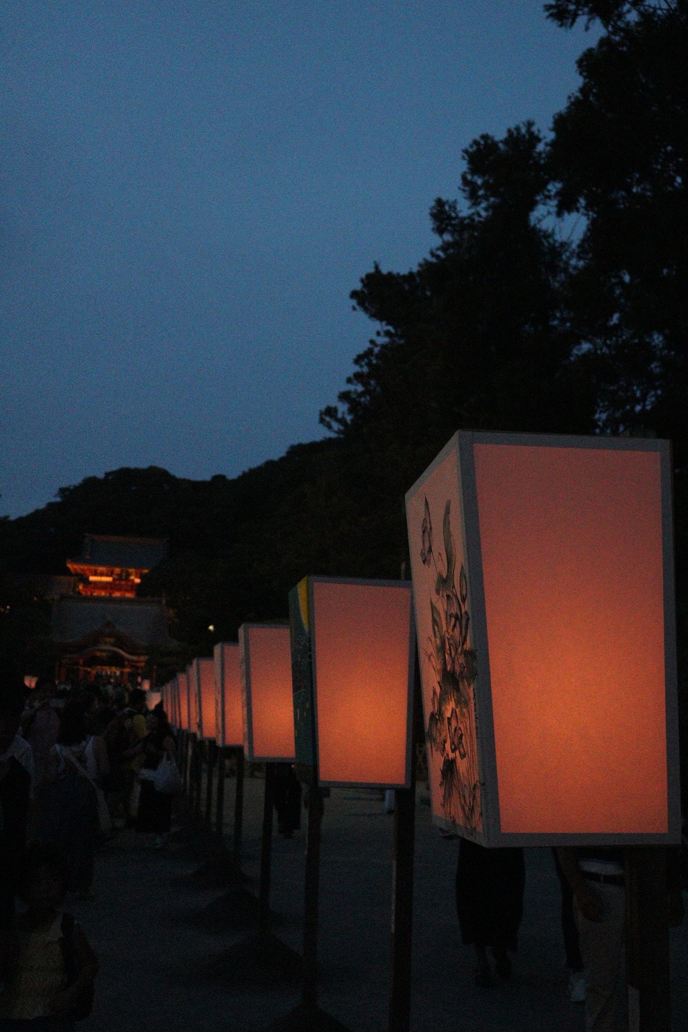  鎌倉  鶴岡八幡宮 ぼんぼり祭り