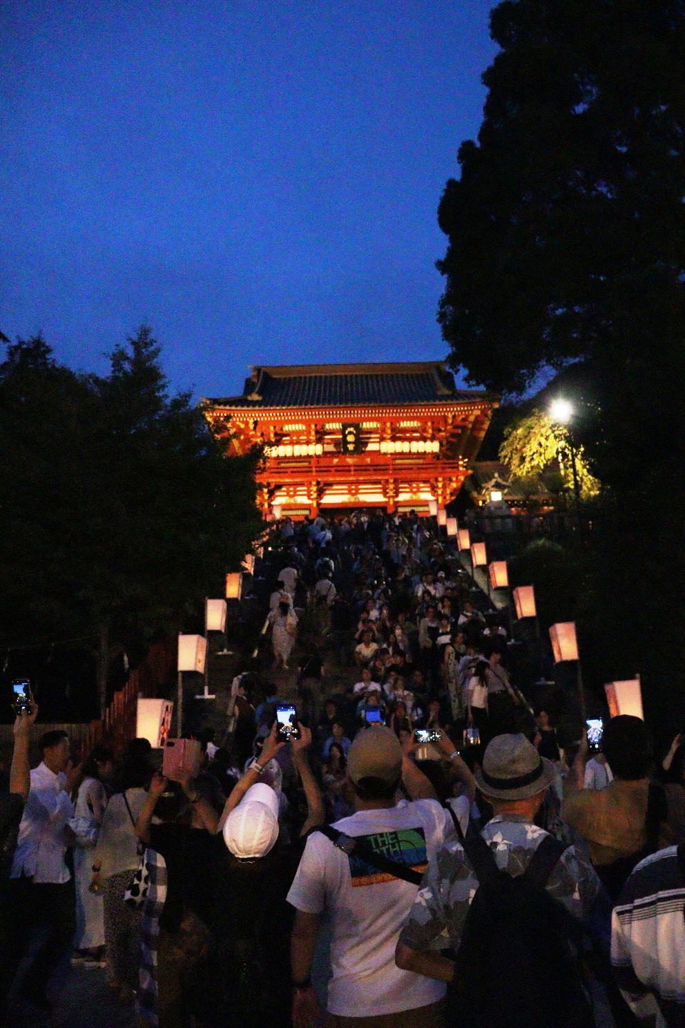  鎌倉  鶴岡八幡宮 ぼんぼり祭り