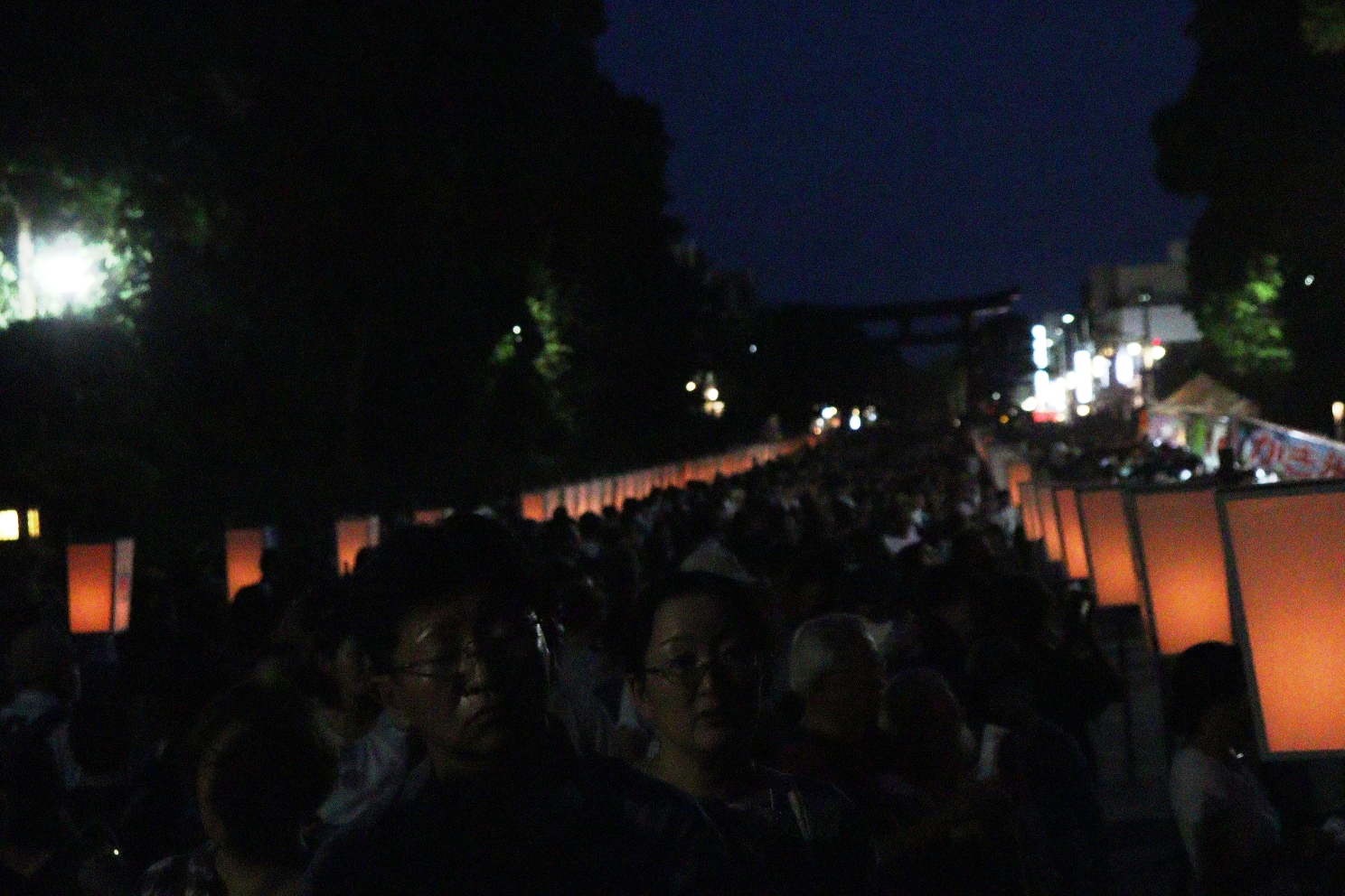  鎌倉  鶴岡八幡宮 ぼんぼり祭り