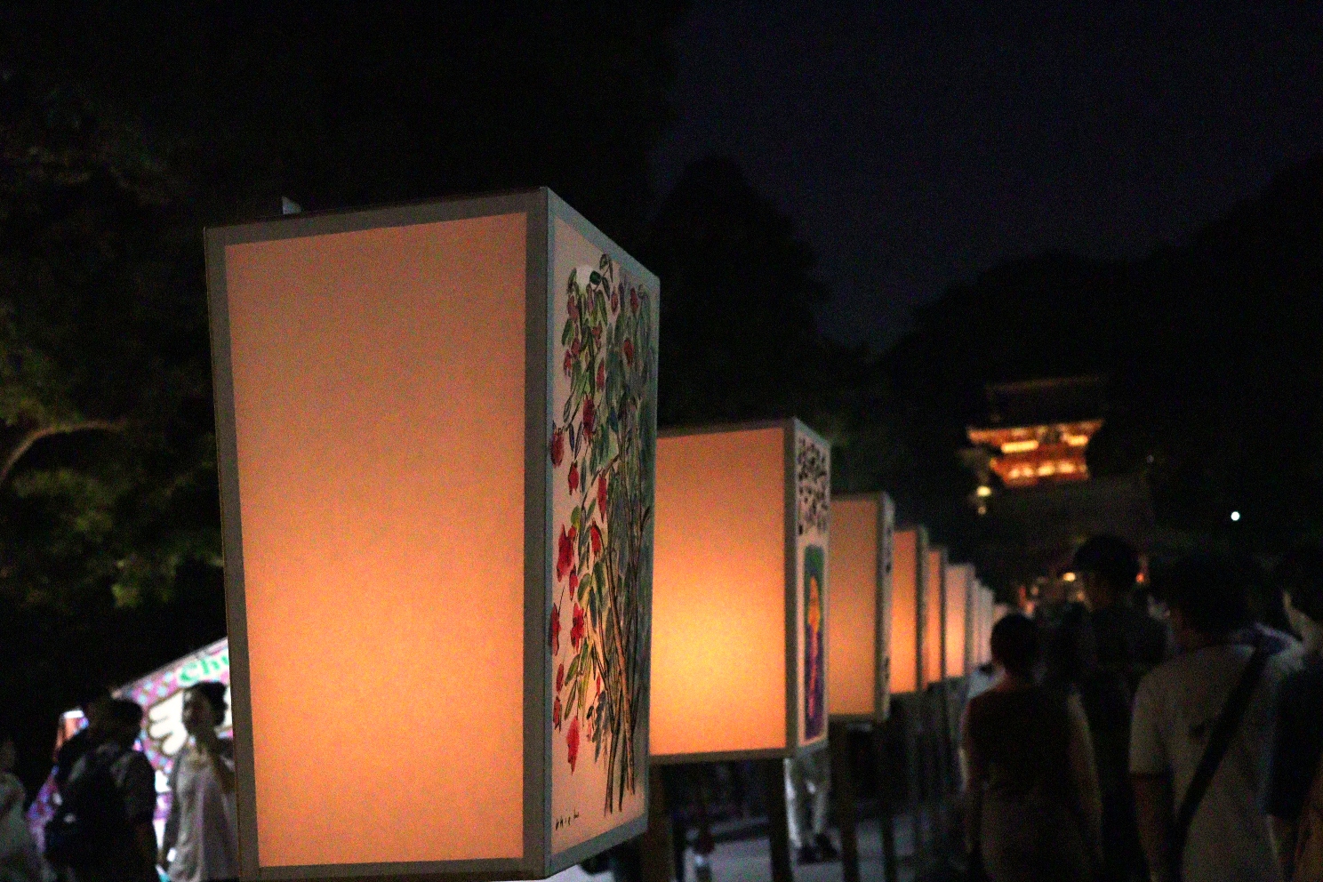  鎌倉  鶴岡八幡宮 ぼんぼり祭り