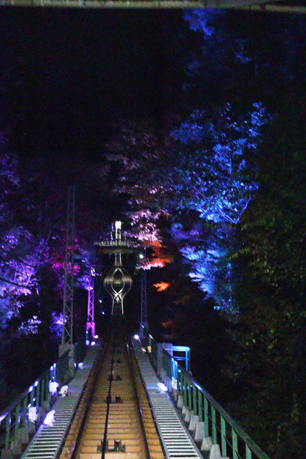 伊勢原大山 大山もみじ祭 大山ケーブルカー前面展望