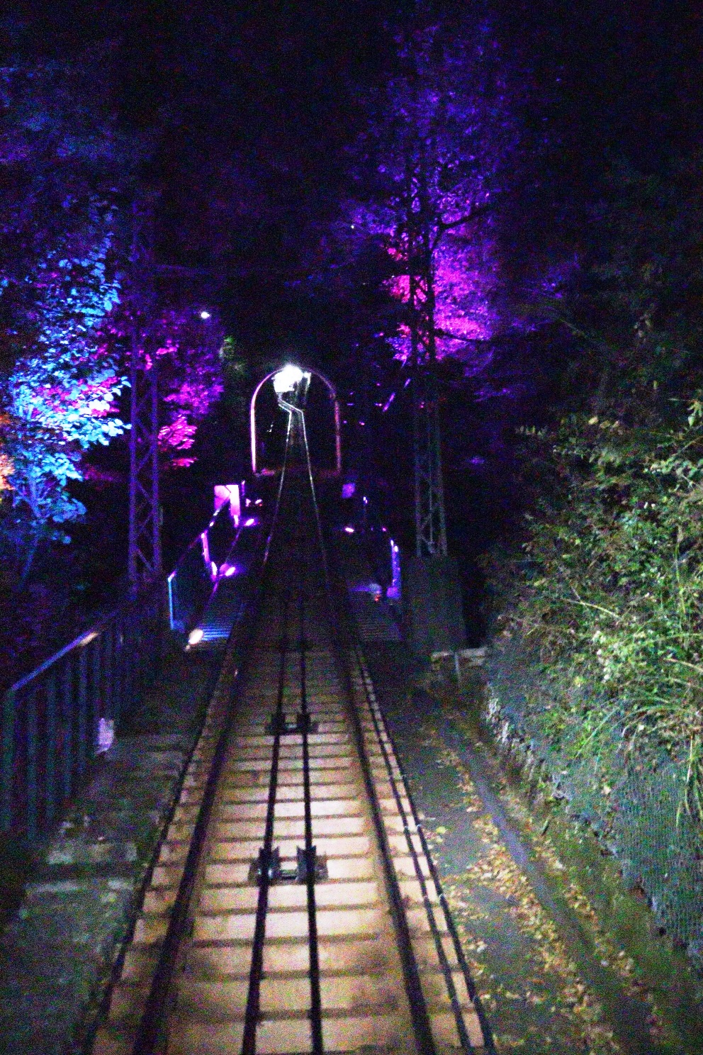 伊勢原大山 大山もみじ祭 大山ケーブルカー前面展望