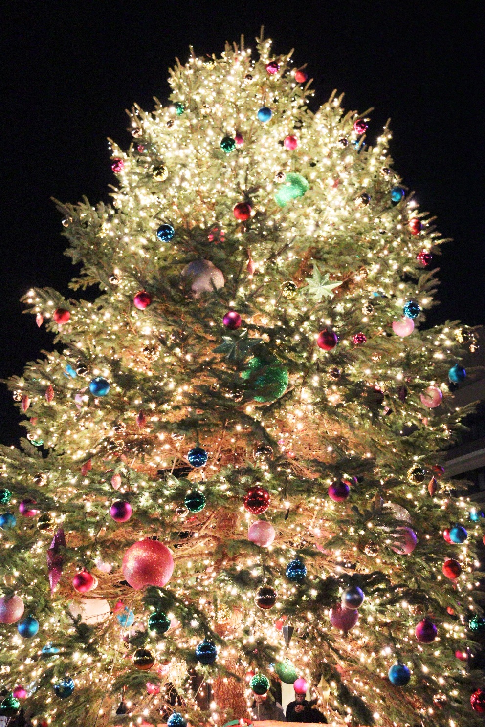 みなとみらい21 新港中央広場 クリスマスゲート