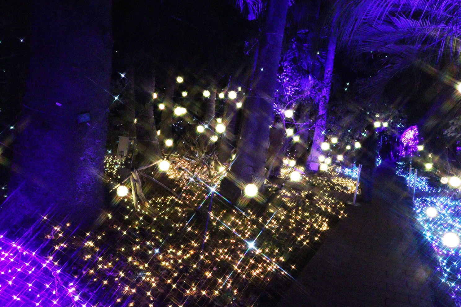 江の島 サムエル・コッキング苑 湘南の宝石