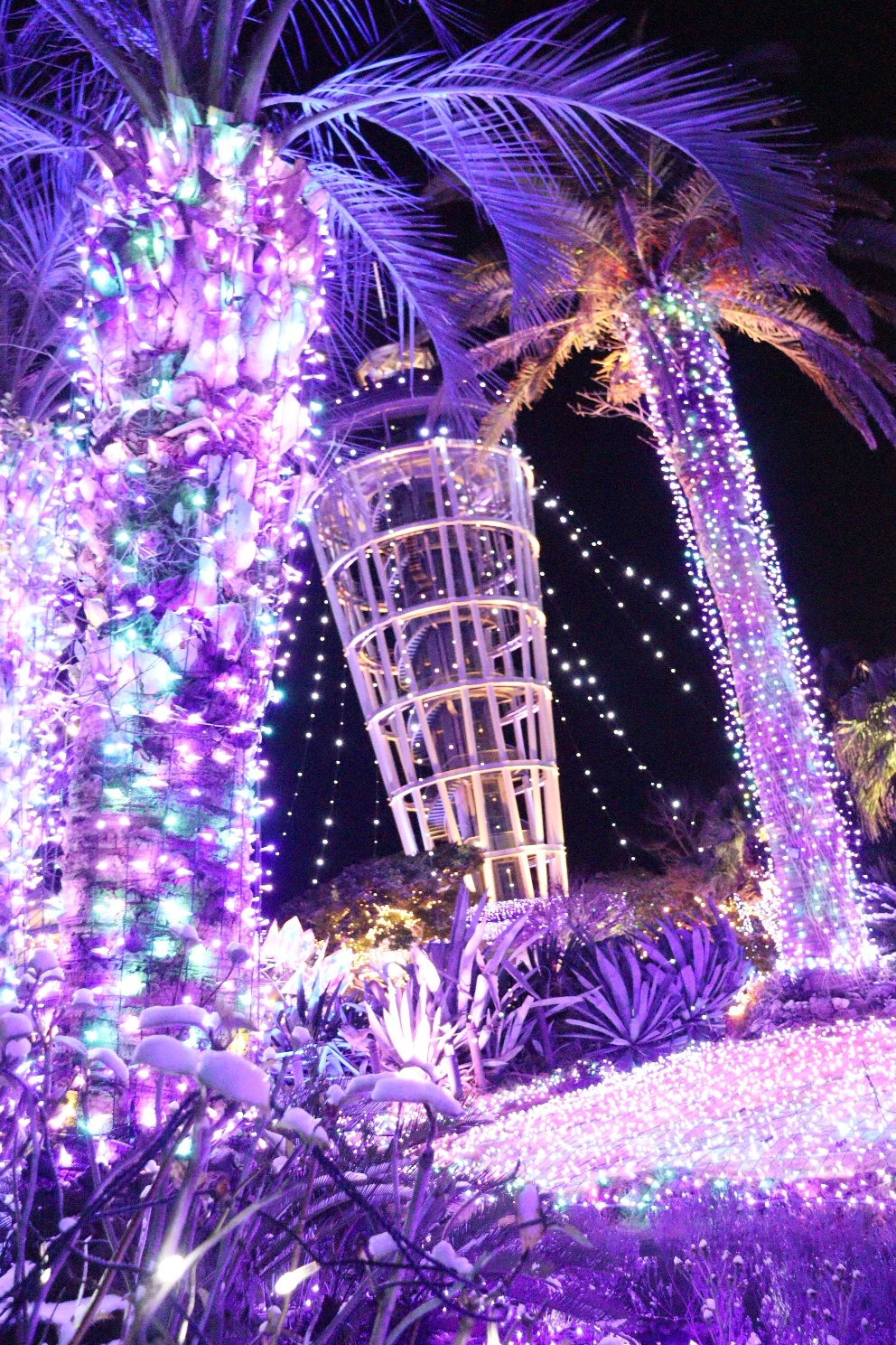 江の島 サムエル・コッキング苑 湘南の宝石